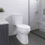 niagara sabre 1.28 gpf toilet c22.303.01 official images