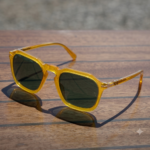 venice 2 sunglasses
