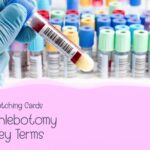 matching 11-1 key terms and descriptions