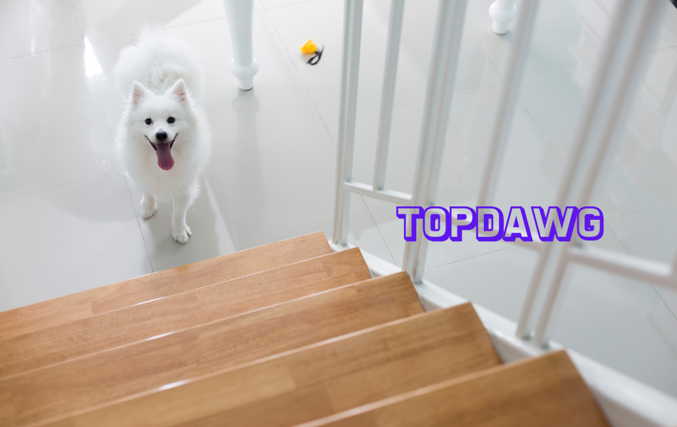 TopDawg